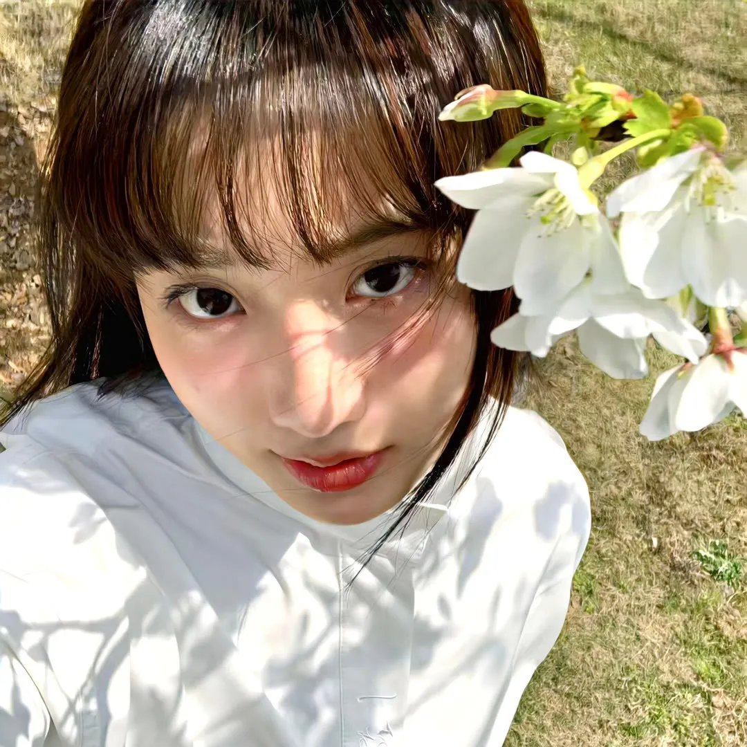 天才少女吊打全球数学大佬